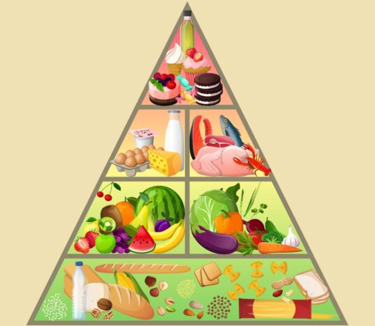 piramida żywienia co to jest